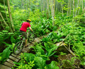 Biking
