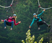 Zip Trek Adventure