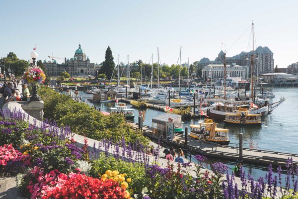 Victoria Inner Harbour Flowers and Boats