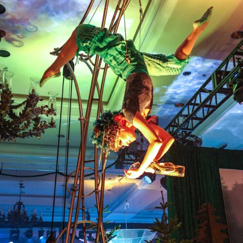 Whistler Corporate Incentive Program Wine Fairly pouring wine upside down while suspended in the air.