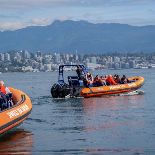 Two vibrant orange Zodiac boats cut through the sparkling waters of Vancouver Harbour on a bright, sunny day.